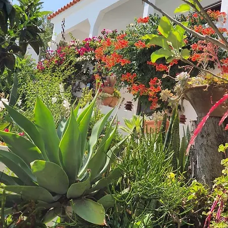 Villa Marrachinho Albufeira