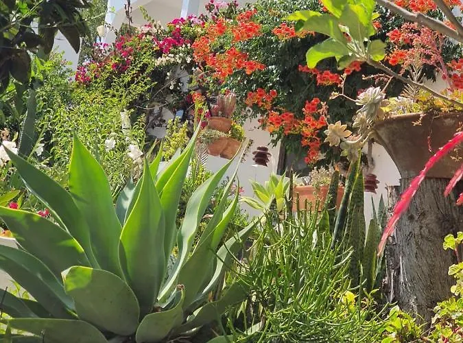 别墅 Marrachinho 阿尔布费拉